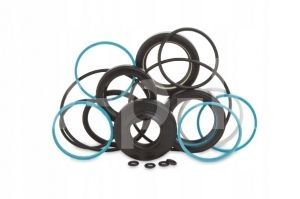 Ремкомплект уплотнений EVO6 163093 фото