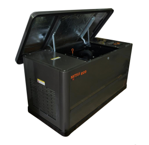 Газовый генератор  GM 13000