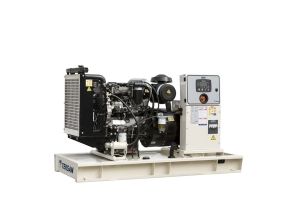 Дизельный генератор TEKSAN TJ110PE5L  фото