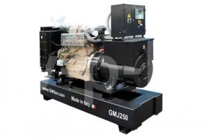 Дизельный генератор  GMJ250