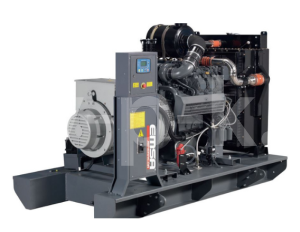 Дизельный генератор EMSA Emsa E IV ST 0144  фото