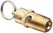 R 4251100202 Клапан предохранительный 3/8", 10 Bar для 270v80