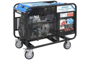 Бензиновый генератор ТСС SGG 17000EH3U 190076 фото
