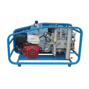 Поршневой компрессор Frosp КВД 300/300 Honda GX390 фото