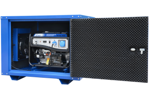 Бензиновый генератор ТСС SGG 2800N в погодозащитном кожухе  фото