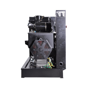 Дизельный генератор Fubag DS 27 A ES  (однофазная_открытая_пож)  фото