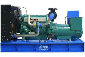 Дизельный генератор ТСС ЭД-300-Т400-2РПМ5 ПРОФ 025988 фото